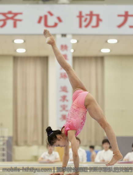夏季转会期纽卡斯尔联队的关键引援盘点